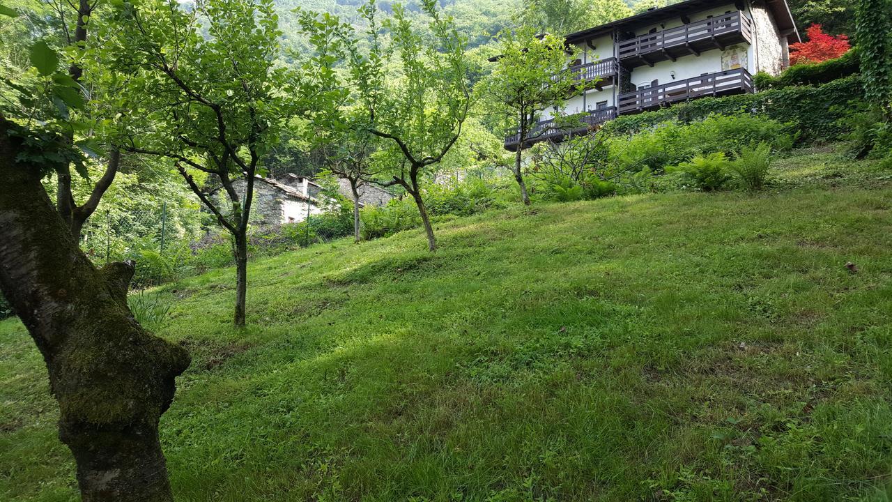 Casa Ronit Villa Delebio Екстериор снимка